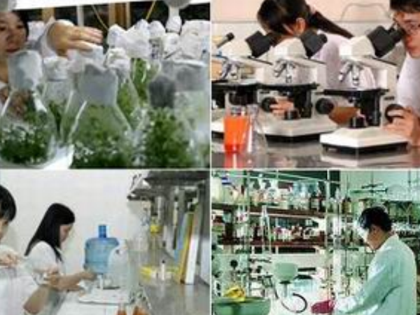 Đặt hàng 6 đề tài khoa học và công nghệ cấp quốc gia