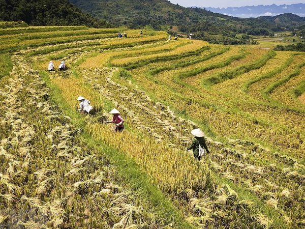 Thông tư cải tạo, phục hồi môi trường trong hoạt động khai thác khoáng sản