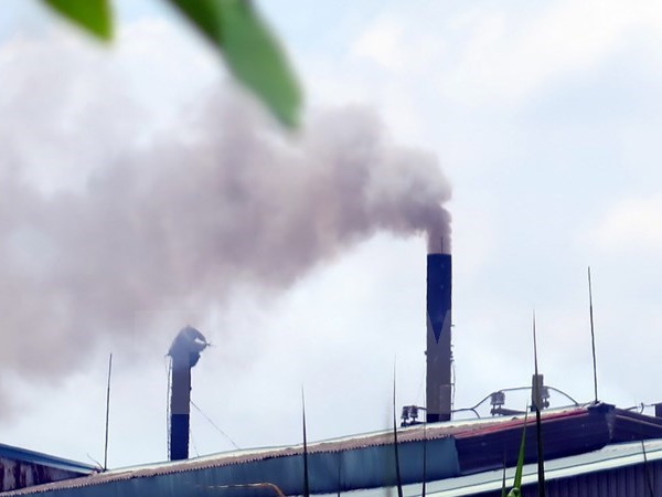 Chuẩn bị sẵn sàng cho xây dựng thị trường carbon tại Việt Nam