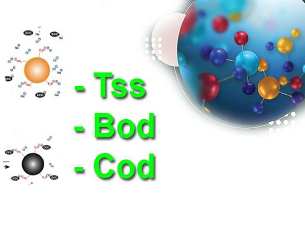 Áp dụng hệ số ô nhiễm (bod, cod và ss) và mô hình streepter – phelps để tính toán thải lượng ô nhiễm của một số nguồn thải