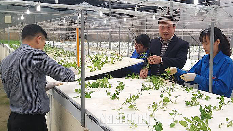 Đẩy mạnh công tác nghiên cứ khoa học, ứng dụng và chuyển giao thuộc lĩnh vực công nghiệp môi trường