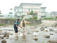 Đánh giá môi trường chiến lược, Công cụ dự báo tác động của Các chiến lược, quy hoạch và kế hoạch phát triển tới Môi trường