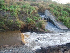 Nước ngầm ở Đồng Nai nhiễm nặng amoni, coliform