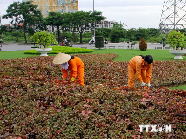 Hà Nội đặt mục tiêu tăng tỷ lệ bình quân cây xanh lên gấp 6 lần