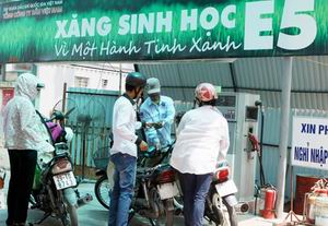 Thủ tướng chỉ thị tăng cường phân phối, sử dụng xăng sinh học