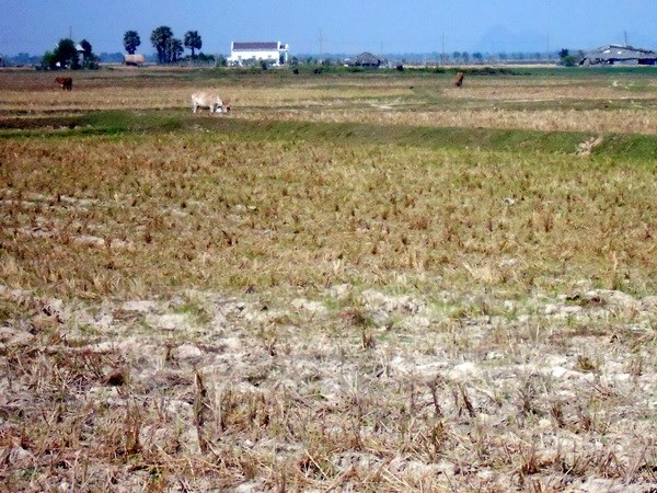 Thành lập Nhóm các nước dễ bị tổn thương trước biến đổi khí hậu