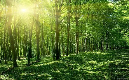Điểm tin môi trường trong tuần