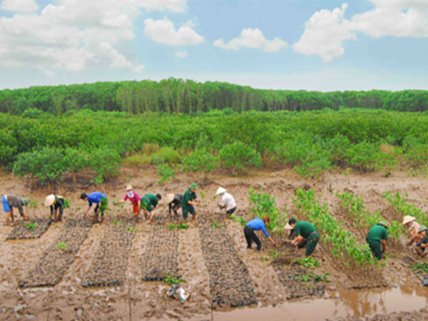 Ninh Bình: Chủ động ứng phó với BĐKH