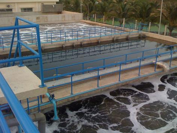Xử lý ô nhiễm nước bằng vi sinh vật (P2)