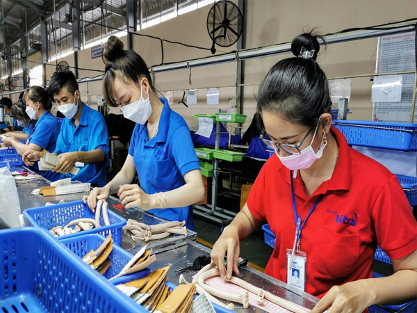 Sẽ cắt giảm hàng loạt thủ tục cấp giấy phép môi trường cho doanh nghiệp