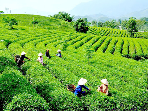 Lập quy hoạch bảo vệ môi trường tầm nhìn đến năm 2050