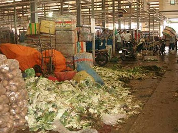 Quản lý chất thải hữu cơ cho TP.HCM