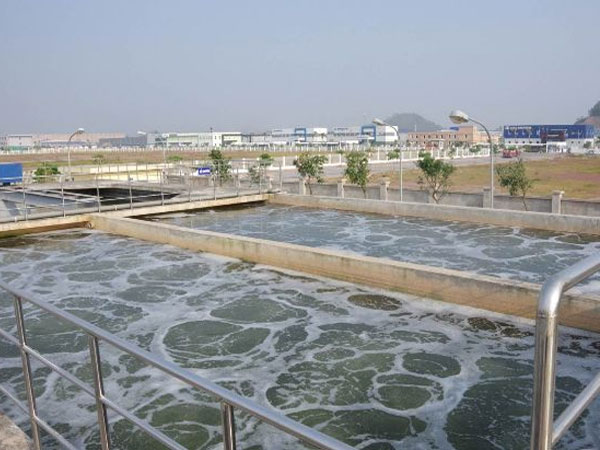 Nhiều doanh nghiệp ngành giấy không có hệ thống xử lý nước thải đạt chuẩn